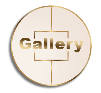 Gallery-Mstudio